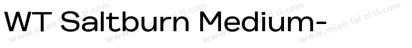 WT Saltburn Medium字体转换
